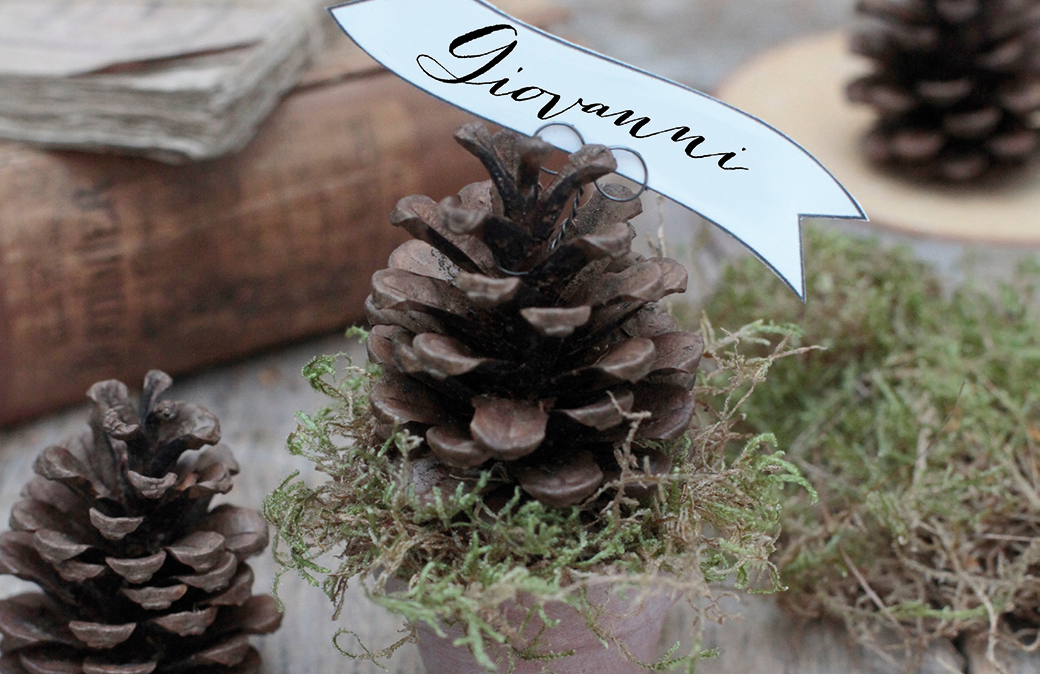 Segnaposto Natalizi Raffinati.Galassia I Frutti Di Natale